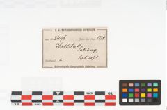 Etikett zu Schleifstein (NHMW-PRAE-003496)